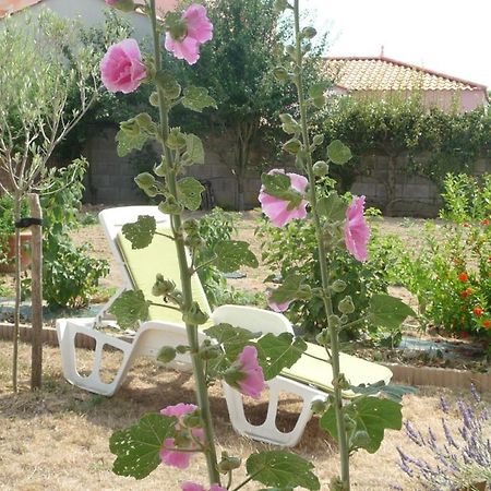 Chambre D'Hote Fleur De Potager Les Sables-dʼOlonne Eksteriør bilde