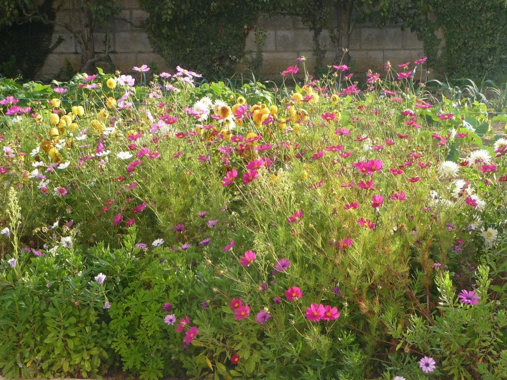 Chambre D'Hote Fleur De Potager Les Sables-dʼOlonne Eksteriør bilde