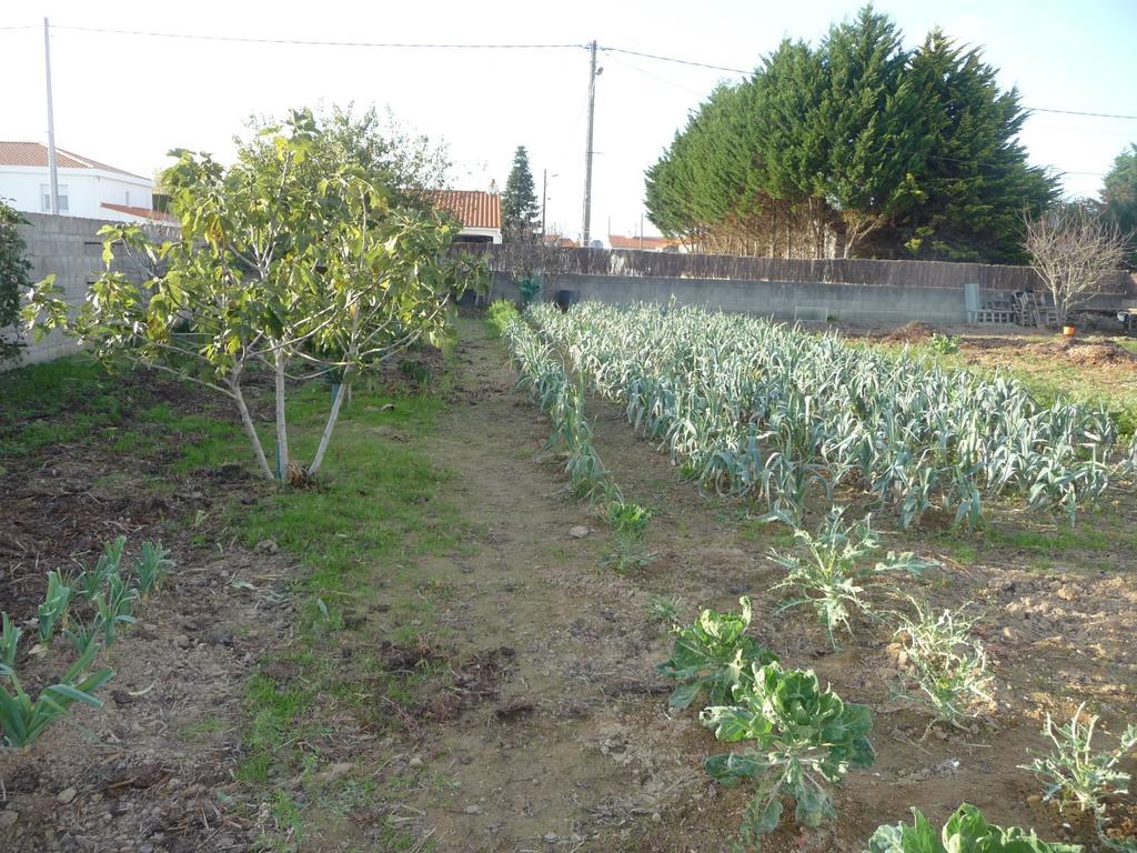 Chambre D'Hote Fleur De Potager Les Sables-dʼOlonne Eksteriør bilde