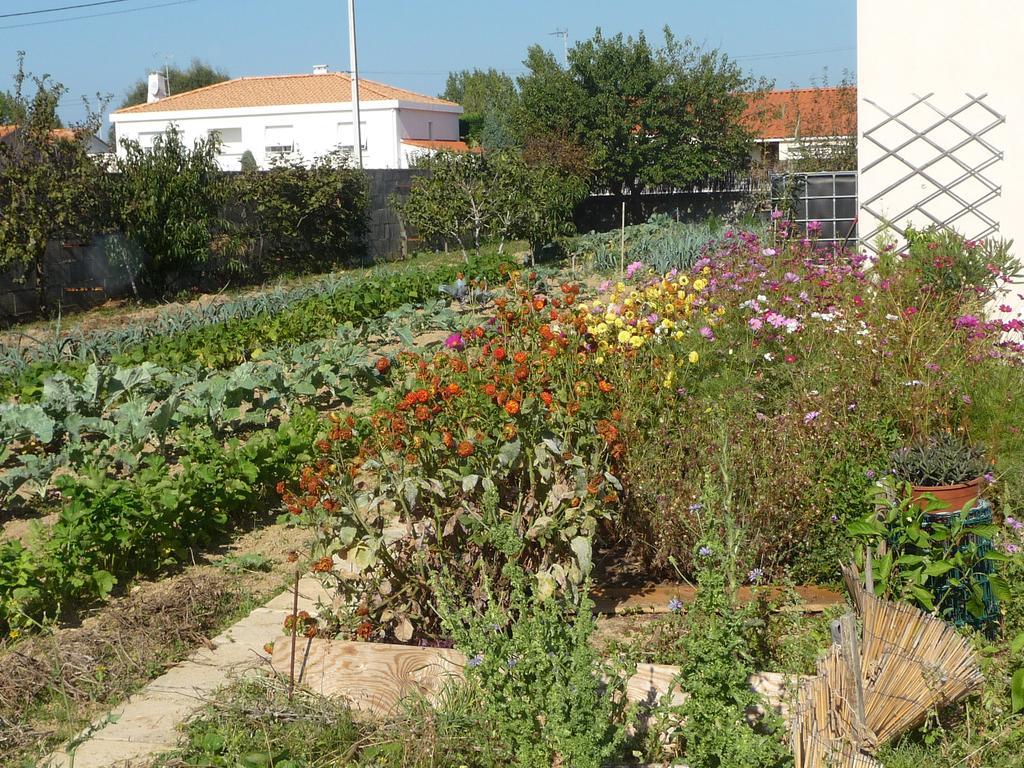 Chambre D'Hote Fleur De Potager Les Sables-dʼOlonne Eksteriør bilde