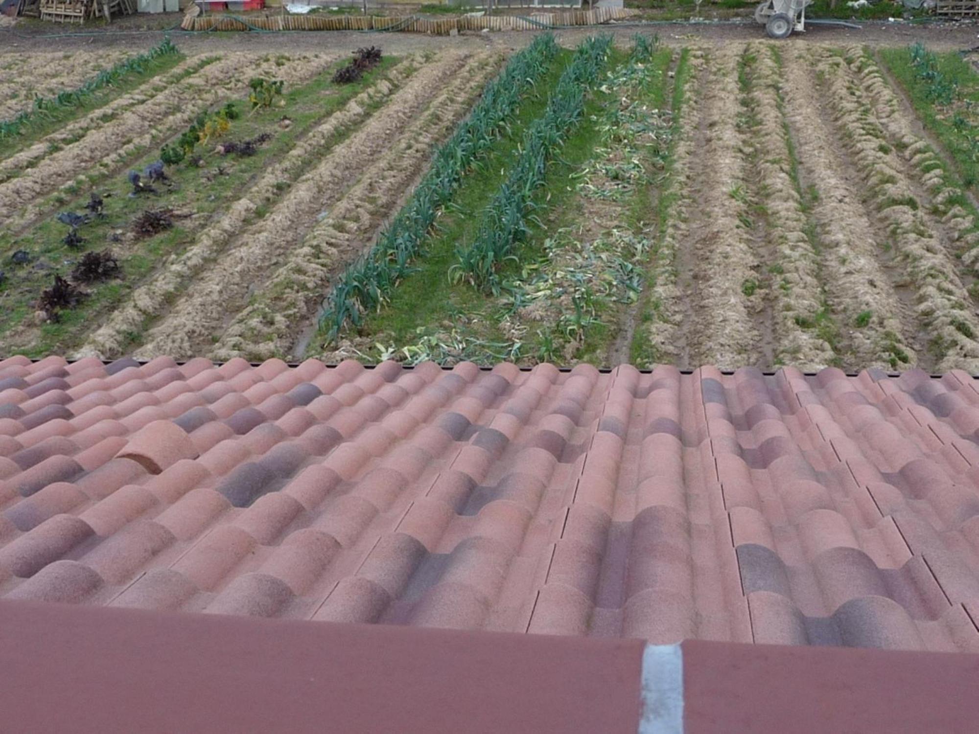 Chambre D'Hote Fleur De Potager Les Sables-dʼOlonne Eksteriør bilde